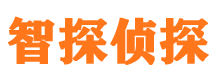 黎平私人调查